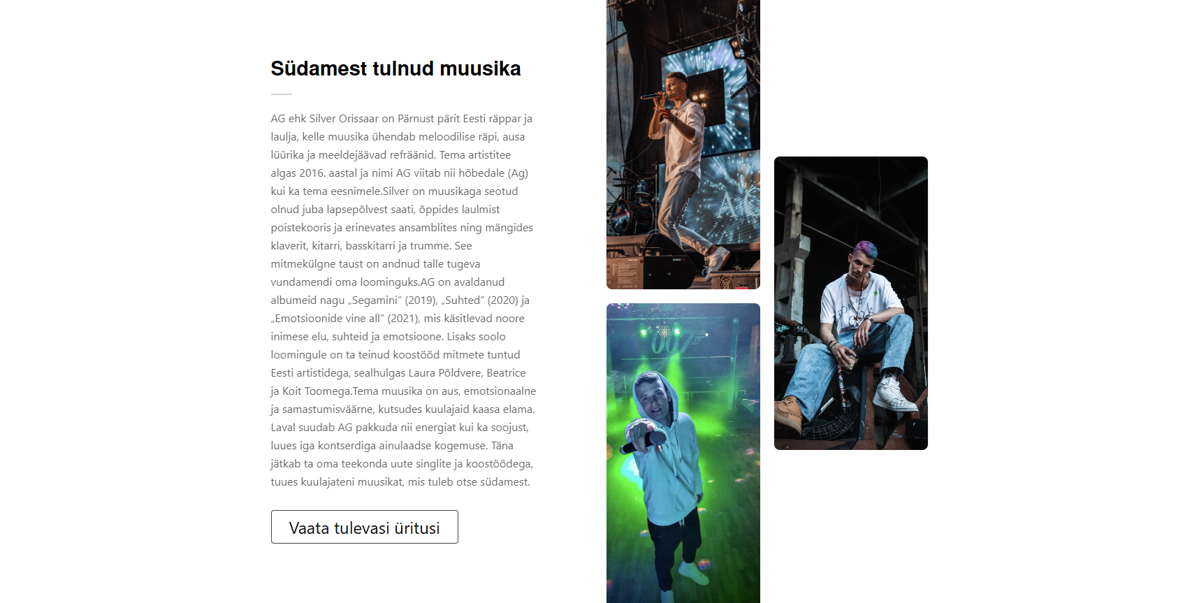 AG Artist – kodulehe vaade 2