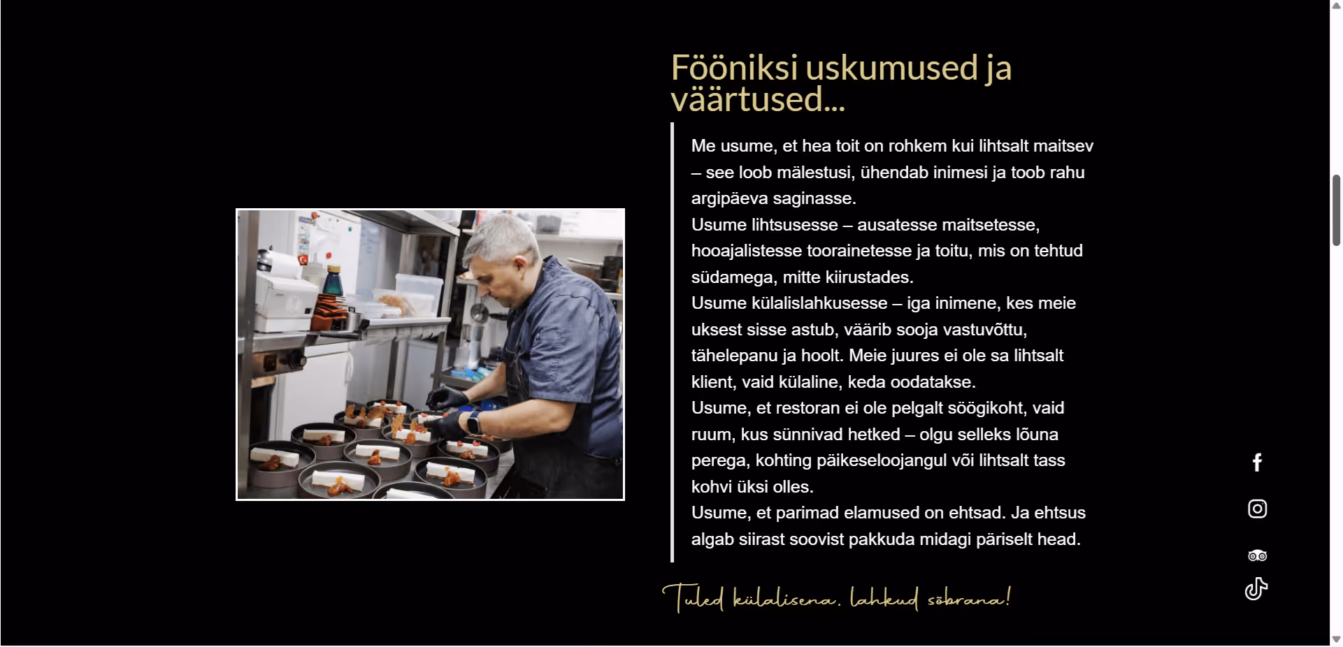 Restoran Fööniks – kodulehe vaade 3